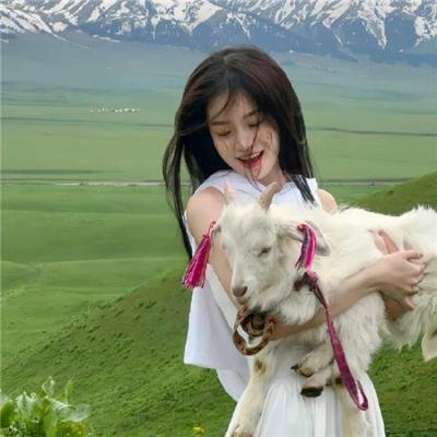 猴子捞月海报